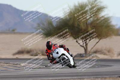 media/Nov-30-2025-TrackXperience (Sun) [[c0061d280f]]/2-Level 2/Session 6 Turn 4 Tree of Life/